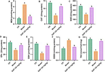 Daphnetin modulates GLP-1R to alleviate cognitive dysfunction in diabetes: implications for inflammation and oxidative stress